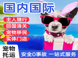 张家界荷花机场快递国际宠物托运 【国